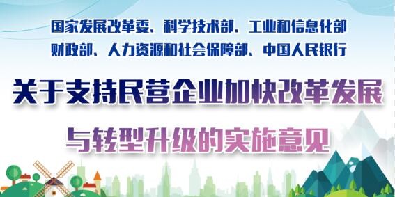 關(guān)于支持民營企業(yè)加快改革發(fā)展與轉(zhuǎn)型升級(jí)的實(shí)施意見